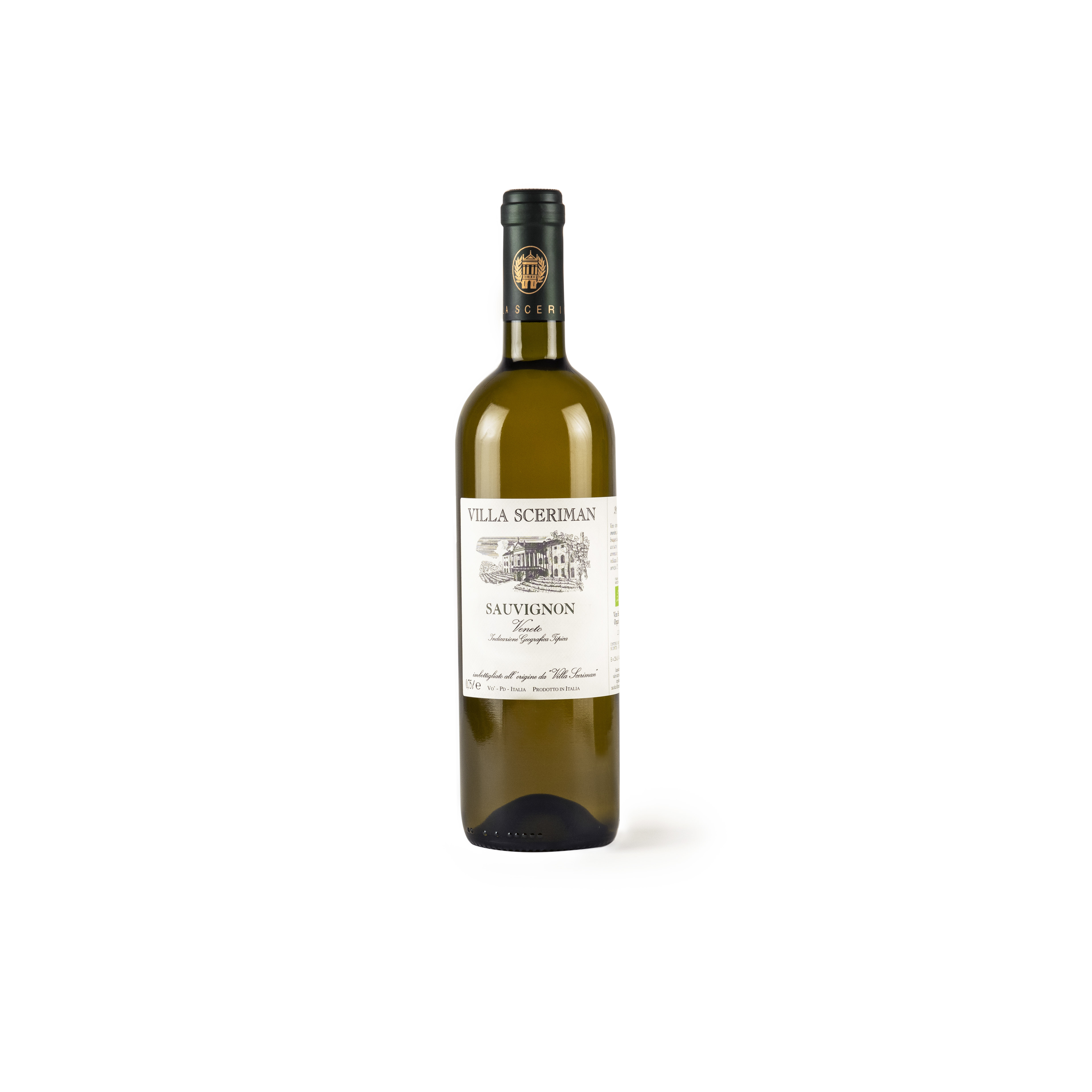 Sauvignon Colli Euganei 2023 IGT