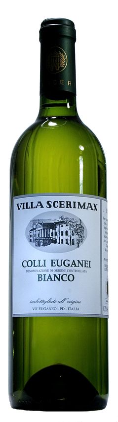 Colli Euganei Bianco DOC 2023 Colli Euganei Bianco DOC 2023