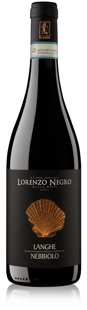 Langhe Nebbiolo 2022 DOC