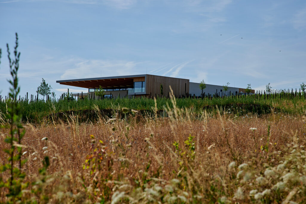 weingut-rings-weingut-rings-christian-ernst-weingut-kreuz-architektur-1024x683