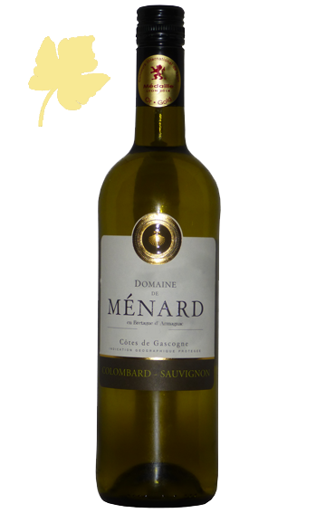 Colombard-Sauvignon 2020 - Domaine de Ménard
