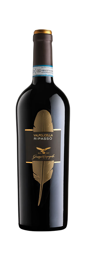 Valpolicella Ripasso 2023 - Campagnola