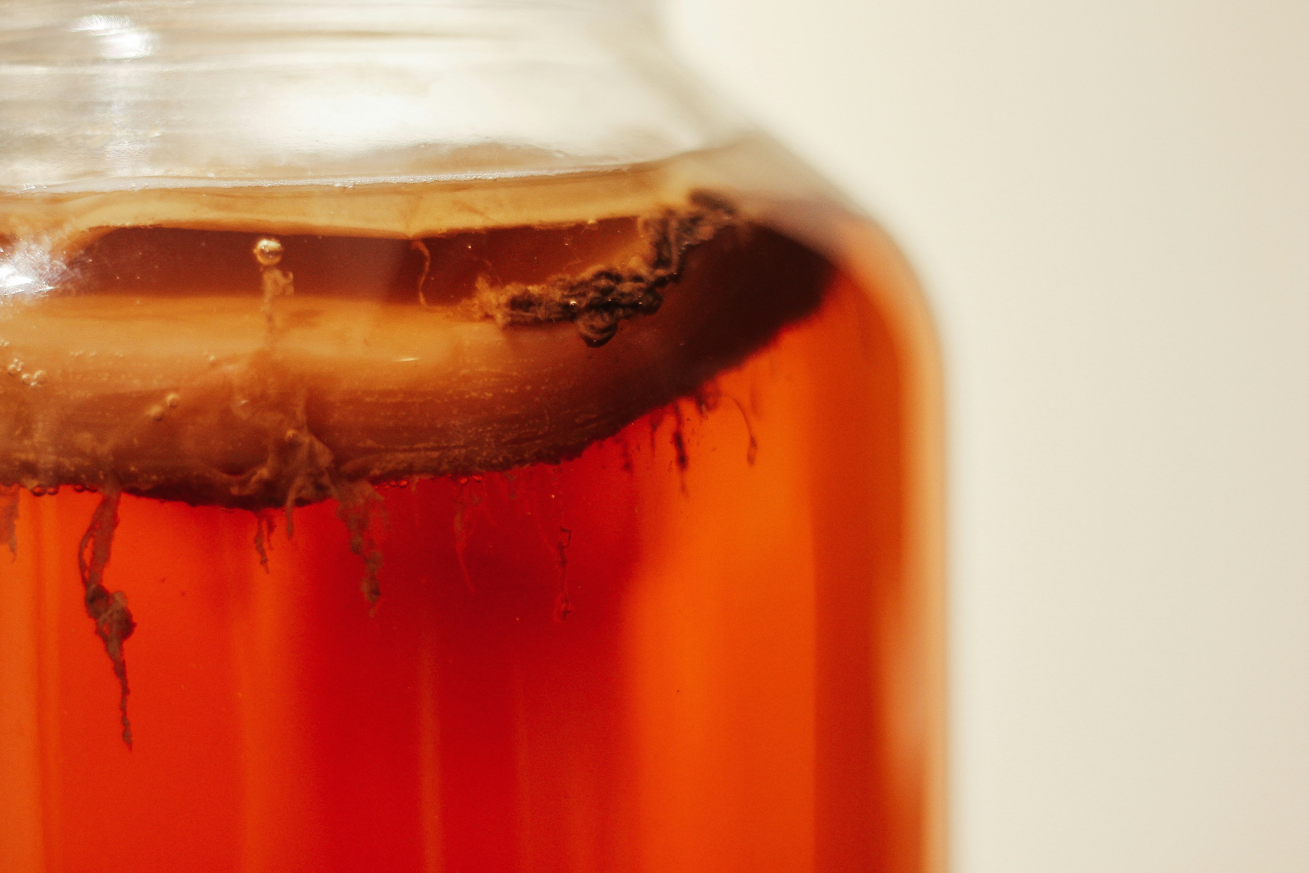 gefaess kombucha mit scoby