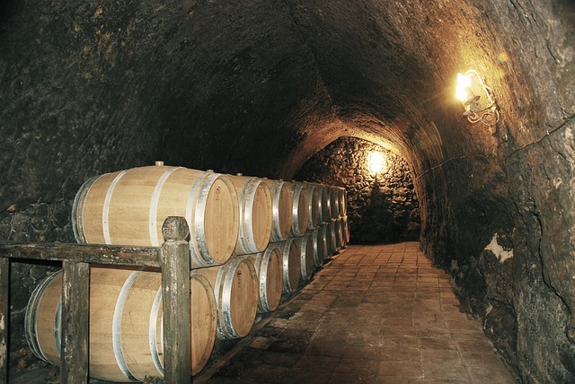 Weingut Reinhardt Wein Keller mit Fässern
