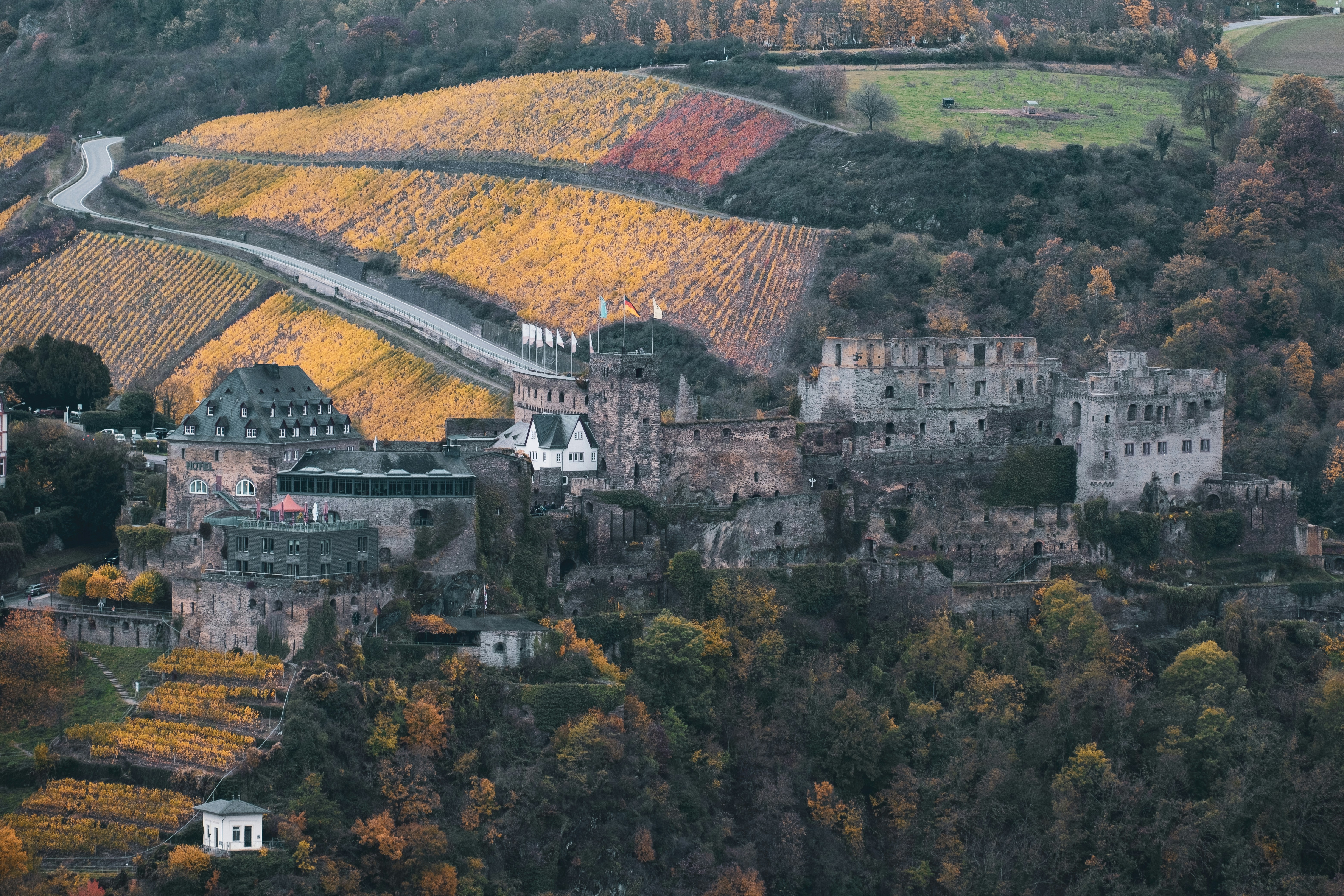 Riesling-Rheingau-Wein