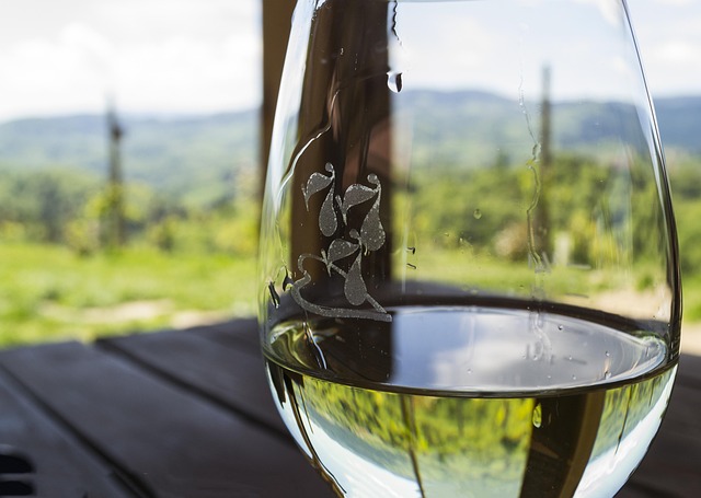 Ein Glas ca dei frati lugana
