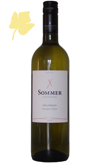 Sauvignon blanc Wolfsbach 2018 - Sommer