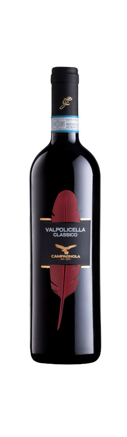 Valpolicella Classico 2022 - Campagnola