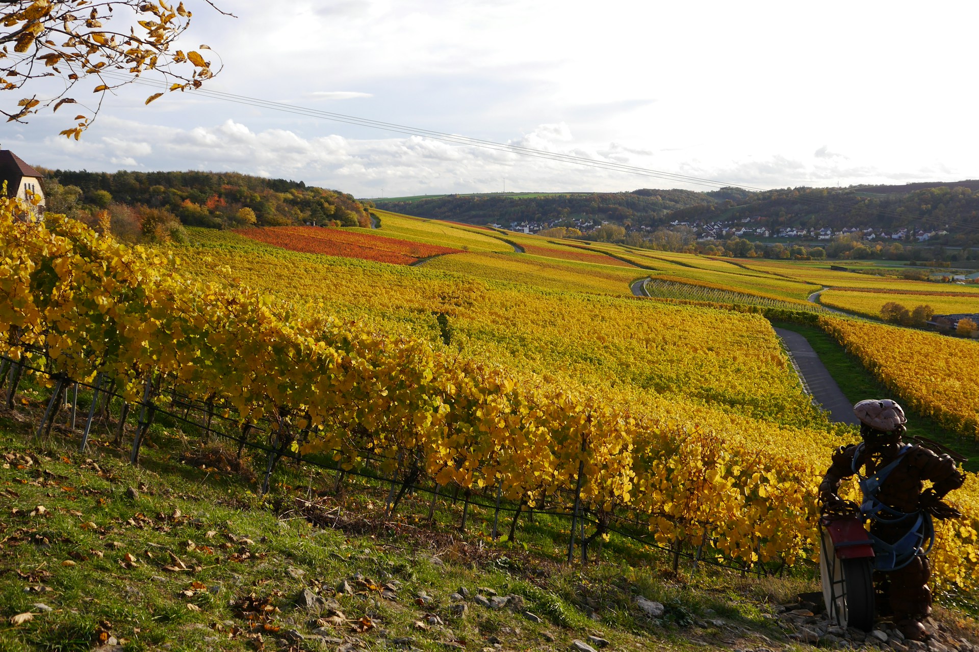 Panorama Pfaffenweiler Weinhaus