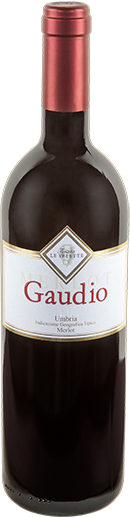 Merlot Barrique Umbria "Gaudio" 2016 IGT