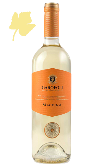 Macrina Verdicchio Superiore 2017 - Garofoli