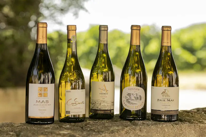 e-boutique-vin.jpg