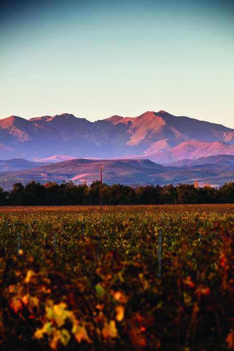 ChateauLauriga04-copie-480x720