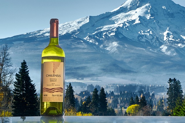 Kann Wein schlecht werden - Eine Flasche Weisswein