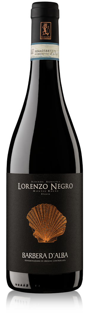 Barbera d'Alba 2021 DOC