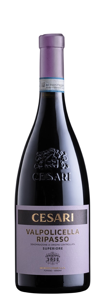 Valpolicella Ripasso DOC Superiore 2021