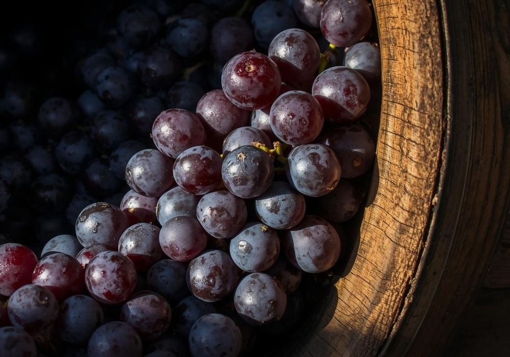 Kein Titel (600 x 400 px) (13)