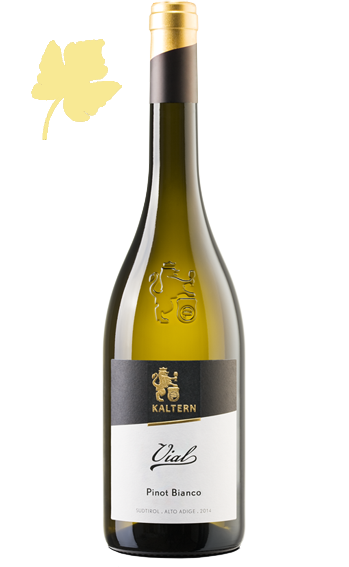 Weissburgunder Vial 2015 - Kellerei Kaltern Weissburgunder Vial 2015 - Kellerei Kaltern