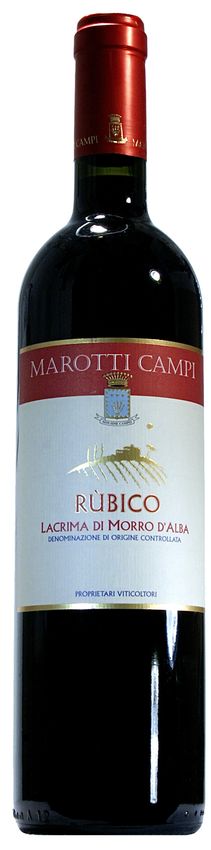 Lacrima di Moro d'Alba "Rubico" 2023 DOC