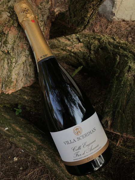 Moscato Spumante Colli Euganei Villa Sceriman