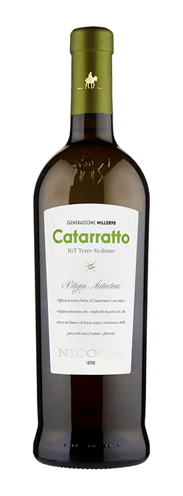 Catarratto - Nicosia
