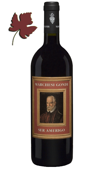 Vino Rosso Ser Amerigo 2010 - Marchesi Gondi