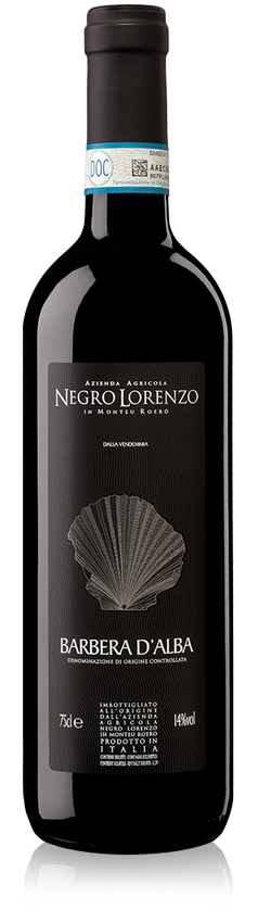 Barbera d'Alba 2021 DOC