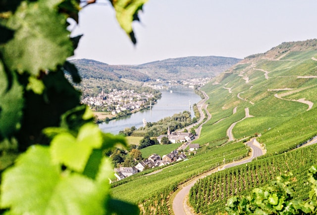 Panorama mit Stadt Weingut Rings