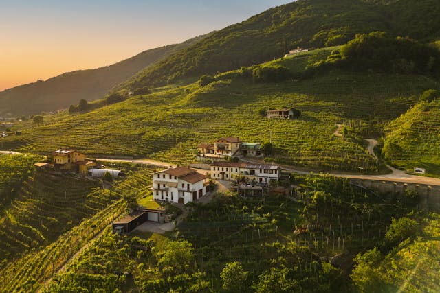 Panoramablick über Weinberge Weingut Lother
