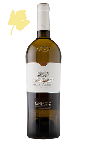 Falanghina Beneventano 2018 - Sanpaolo/ClaudioQuarta