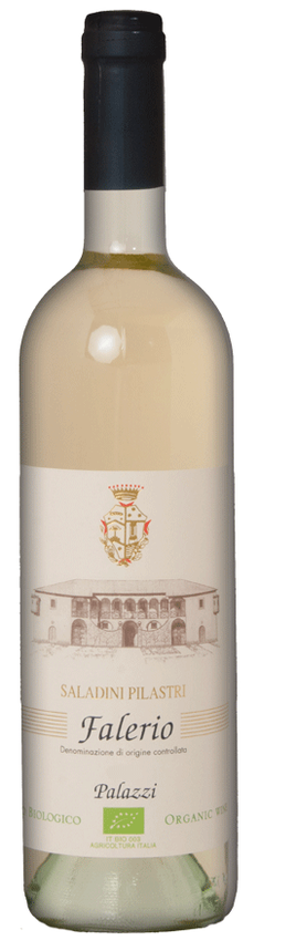 Falerio "Vigna Palazzi" DOC - Saladini Pilastri