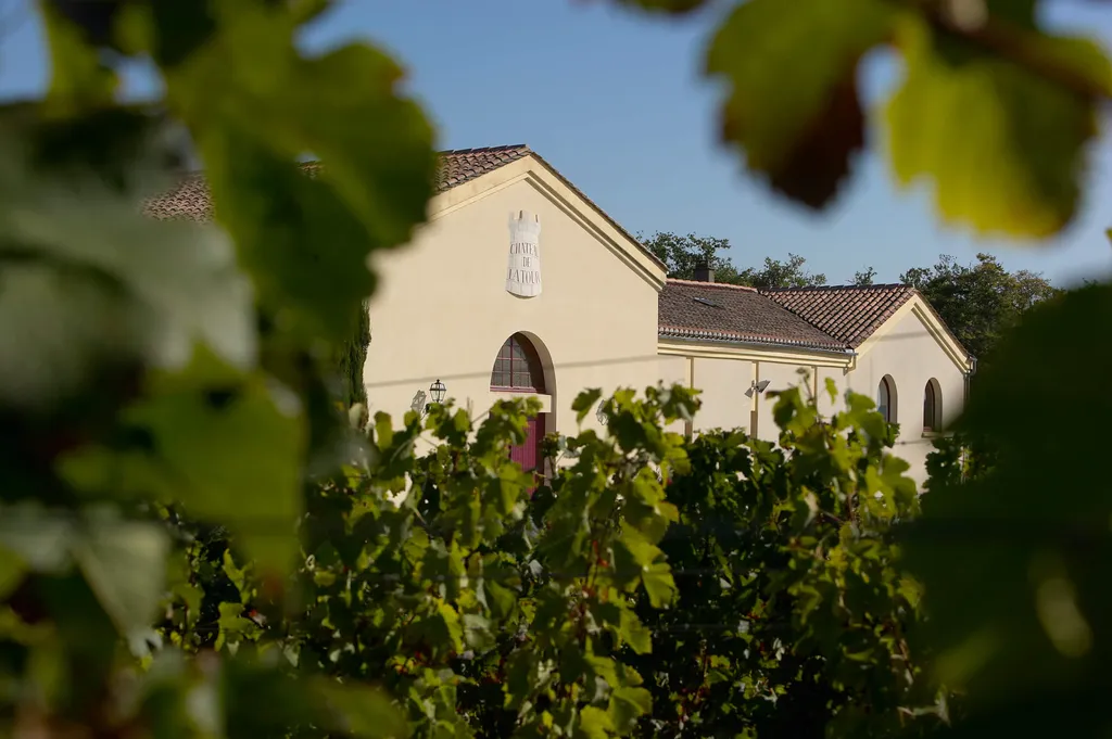 chateau-pey-la-tour-bordeaux-dourthe-propriete-1