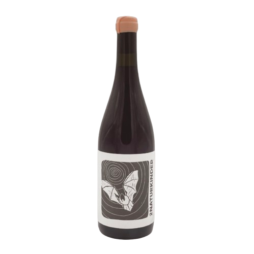 Fledermaus 2023 - 2Naturkinder