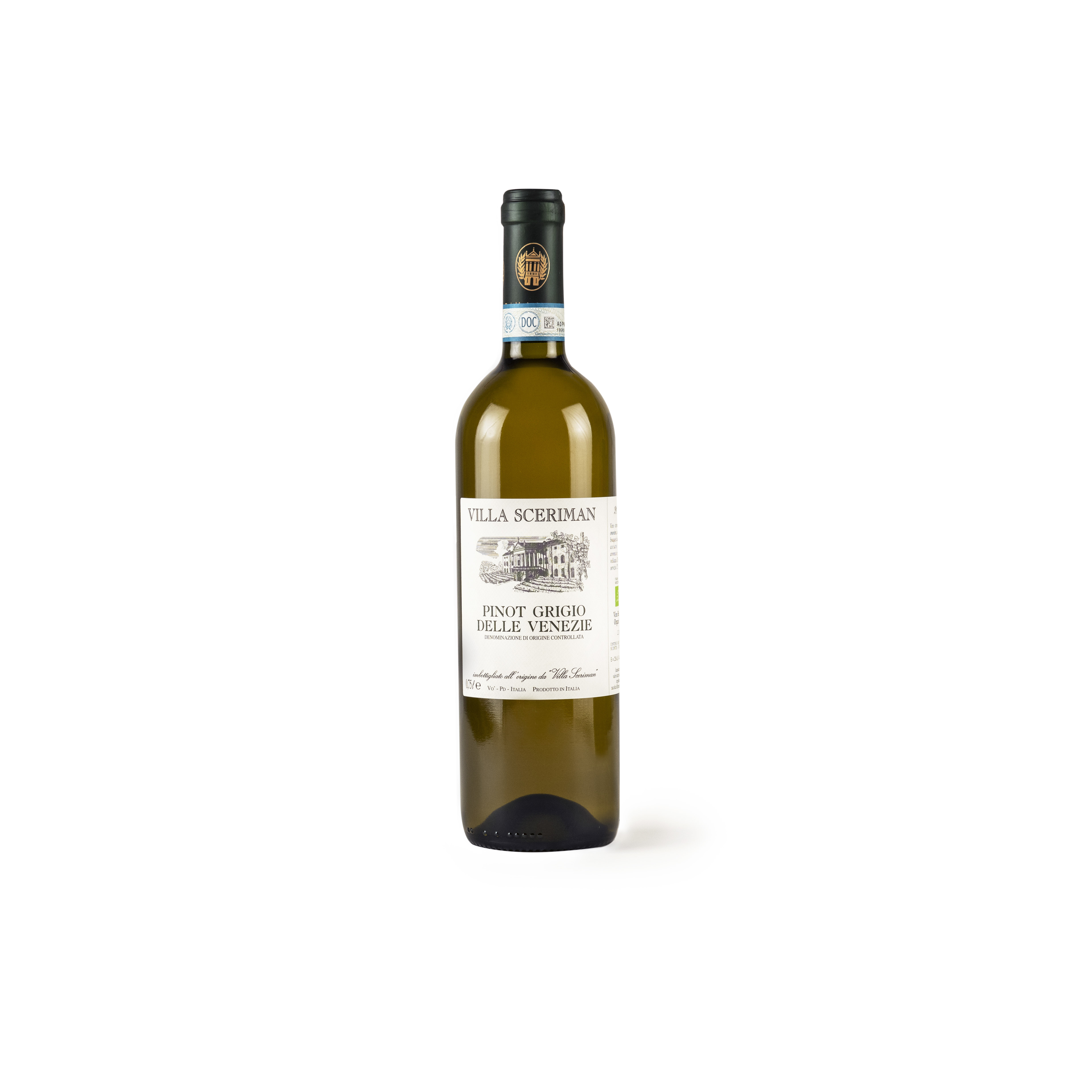 Pinot Grigio Colli Euganei 2023 DOC
