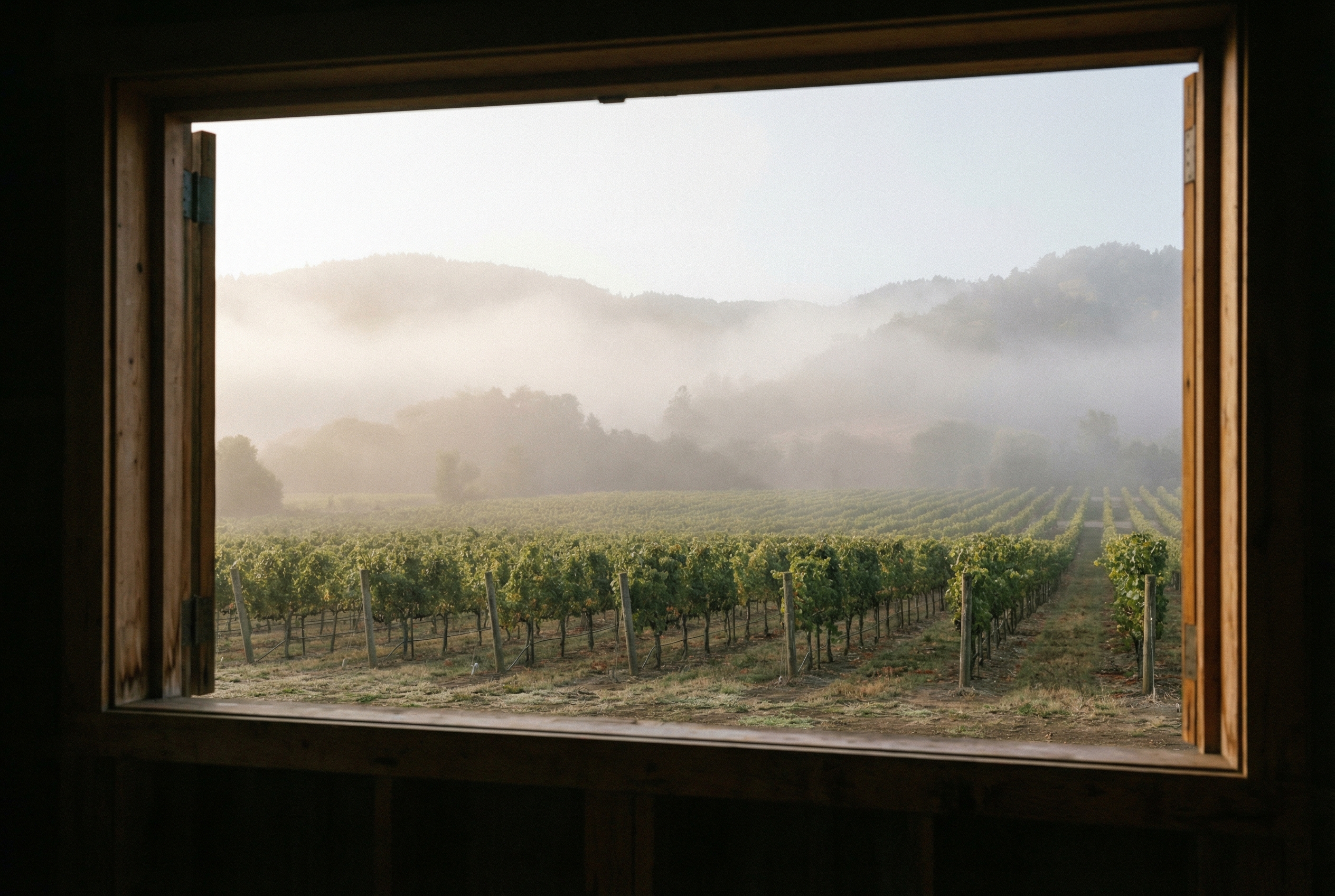 vinovit-weingut-distilleria-marzadro-03