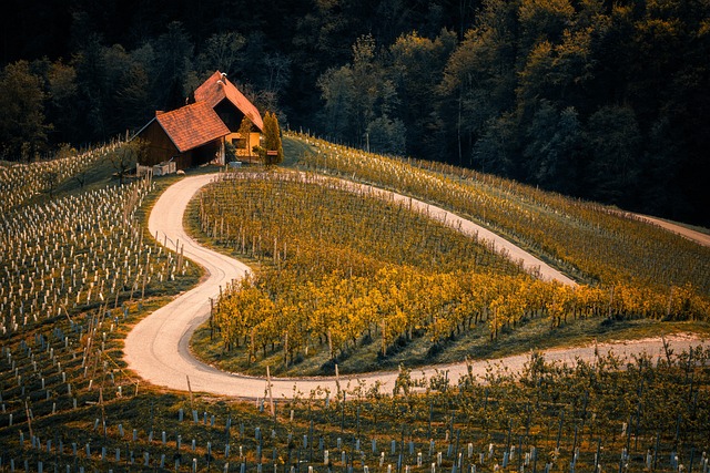 Pfaffenweiler Weinhaus Batzenberg