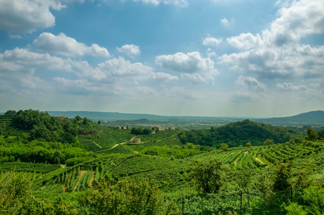 Valdobbiadene Weinberge in der Region