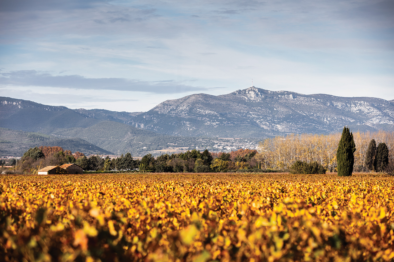 DomaineCresRicards08