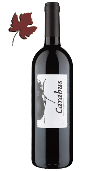 Carabus Reserve 2016 - Bayer Erbhof