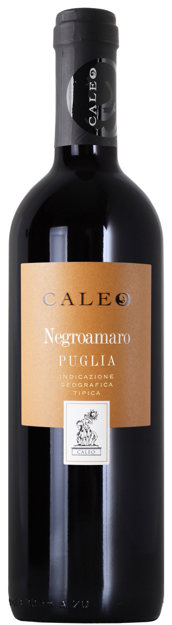 Negroamaro Salento 2022 IGT