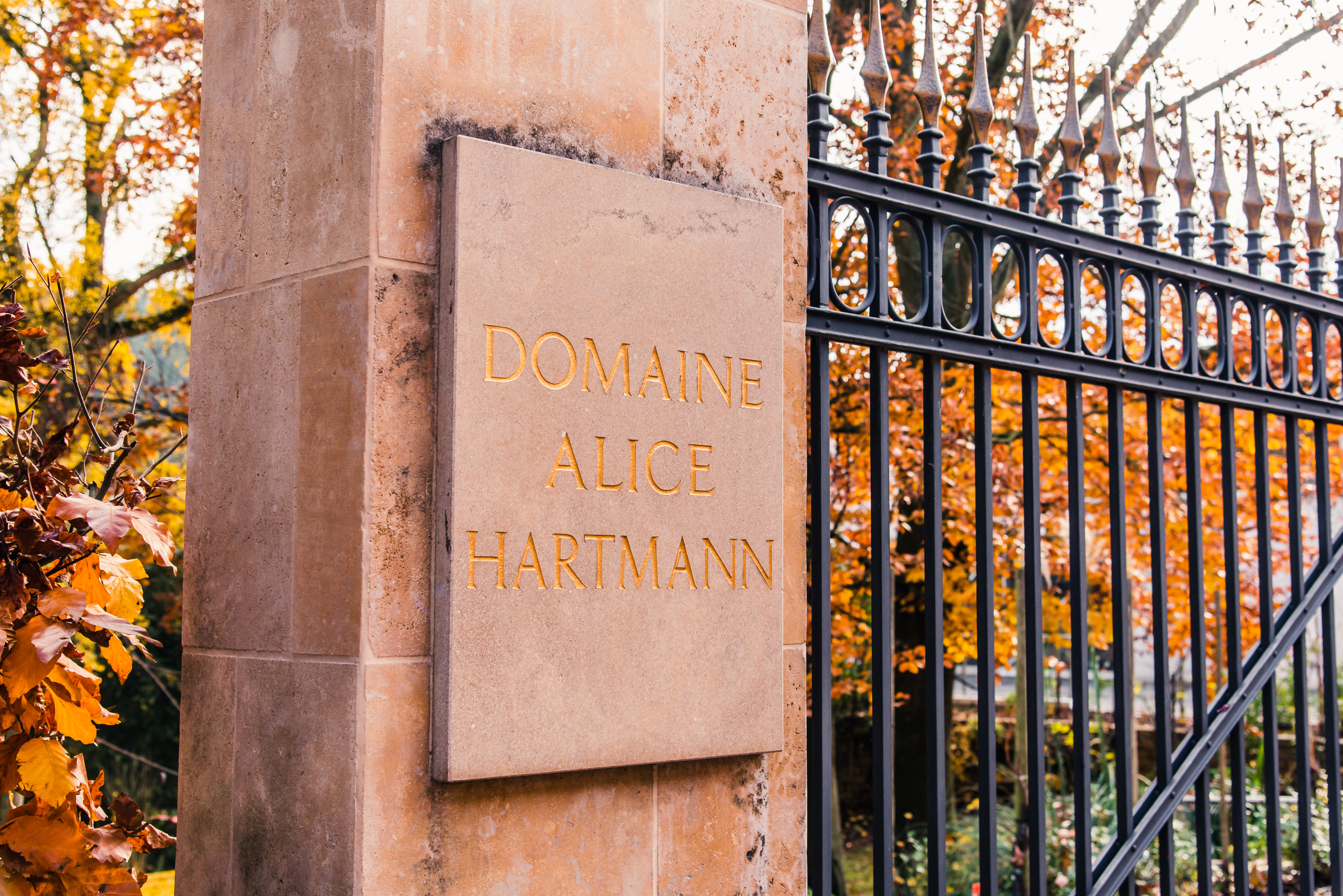 Weingut Alice Hartmann