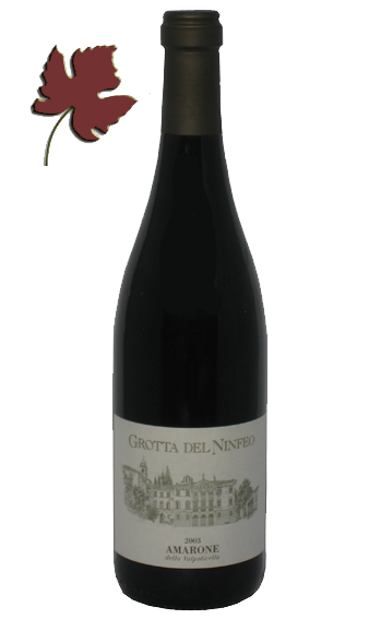 Amarone Grotta del Ninfeo 2011 Magnum - Fraccaroli