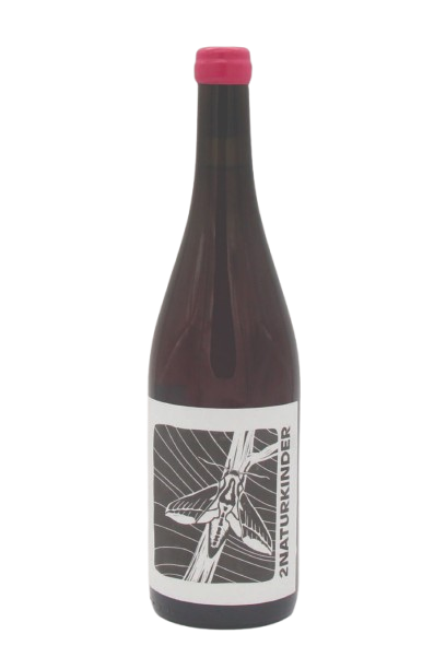 Weinschwärmer [deilephila porcellus] 2021