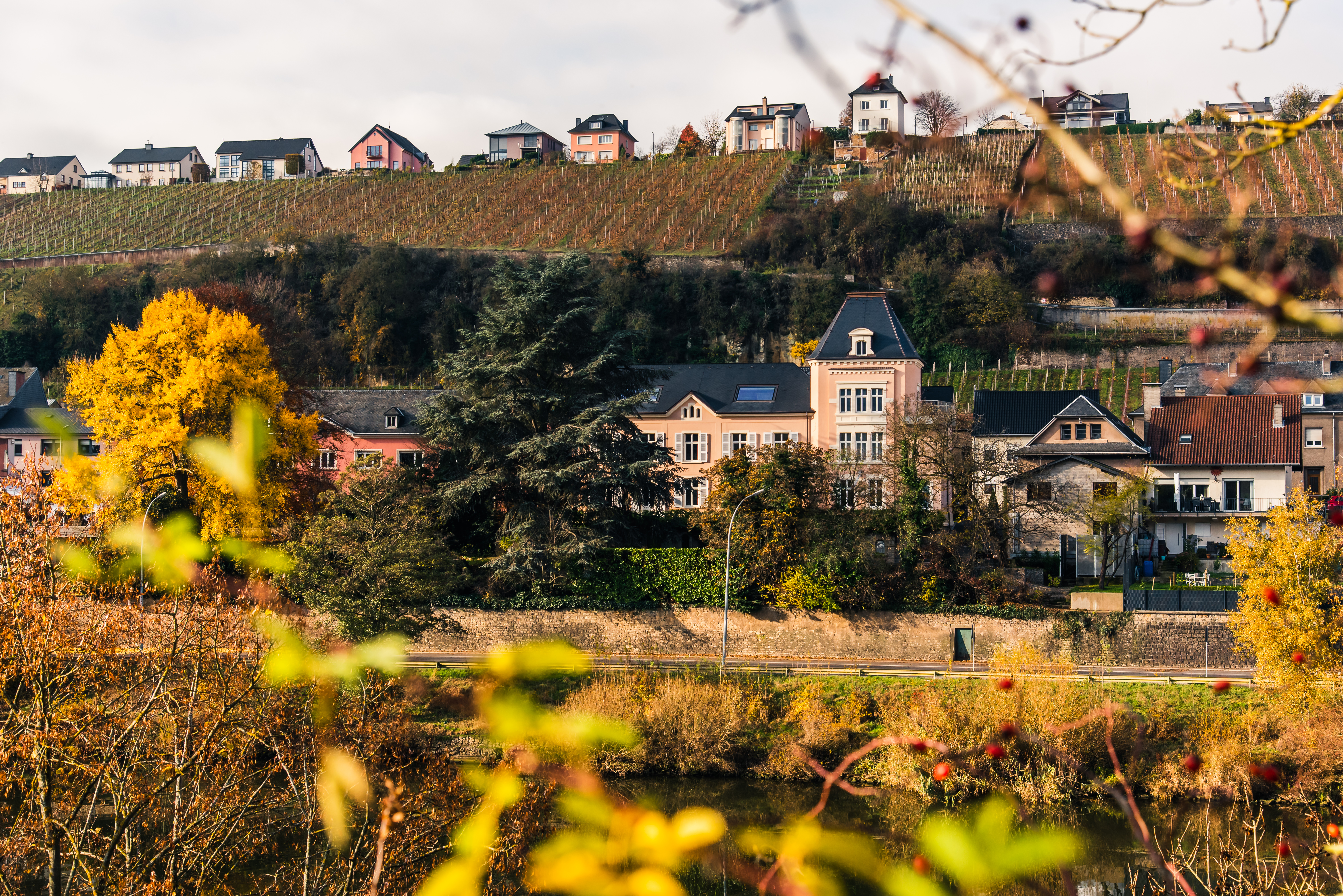 Weingut Alice Hartmann 3