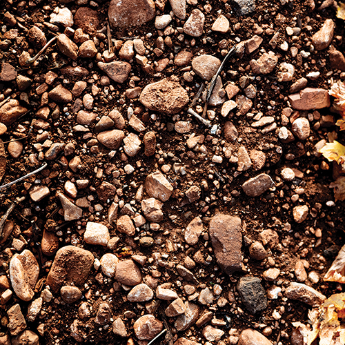 DomaineCresRicards11